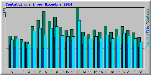 Contatti orari per Dicembre 2024